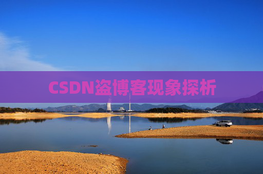 CSDN盗博客现象探析